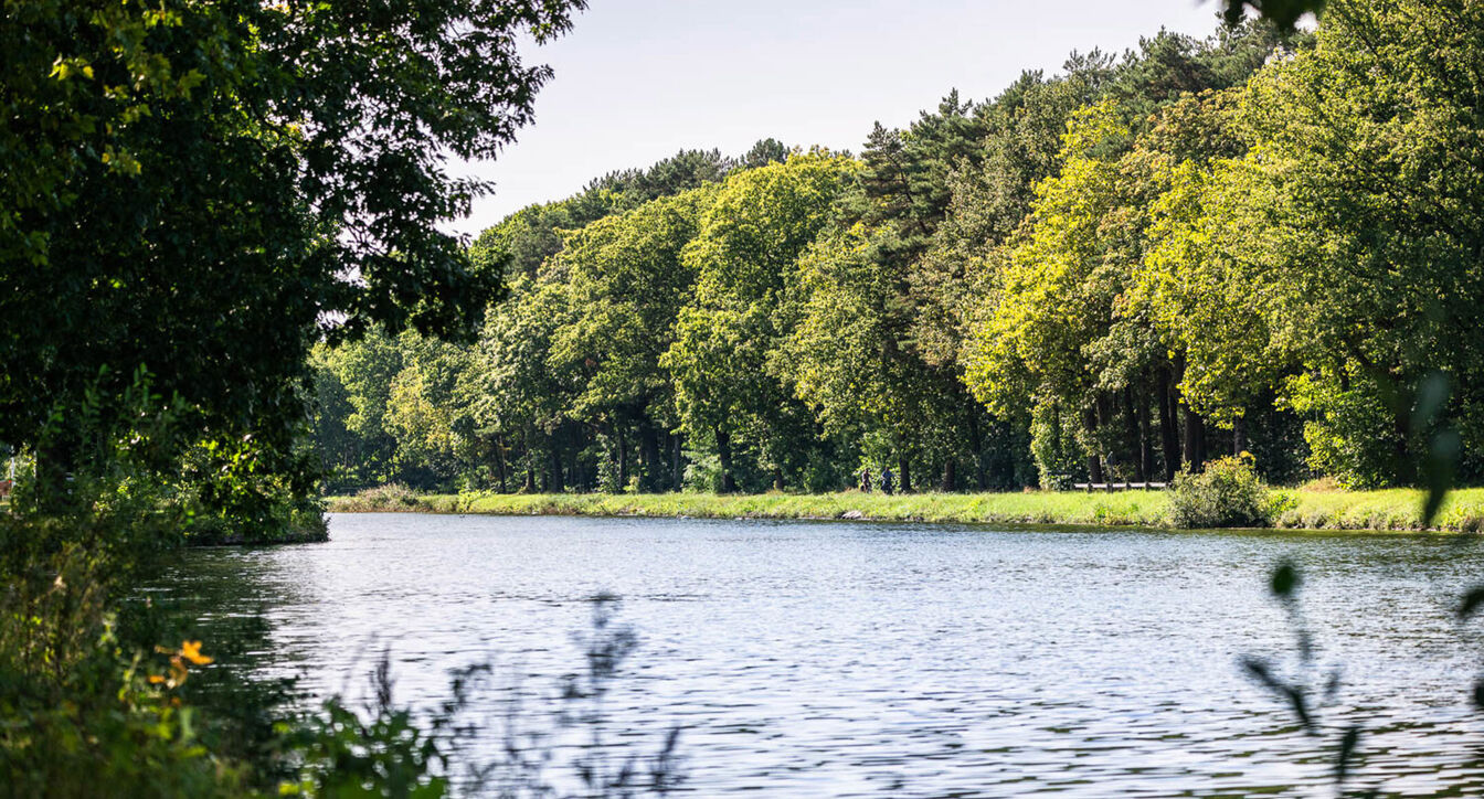 Residentiewijk - Parkappartementen in Mol