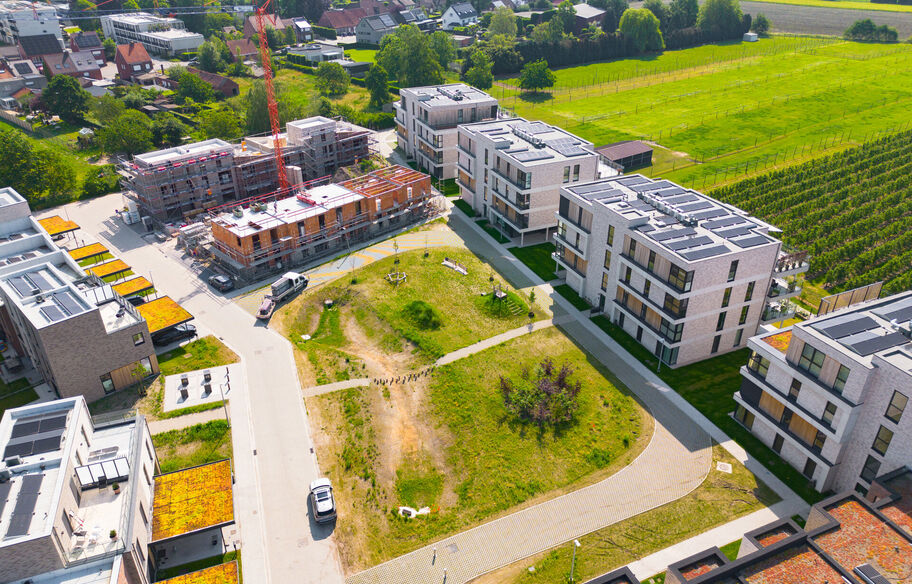 Deycke - Woningen Kersenpad - Perenstraat in Oud-Turnhout