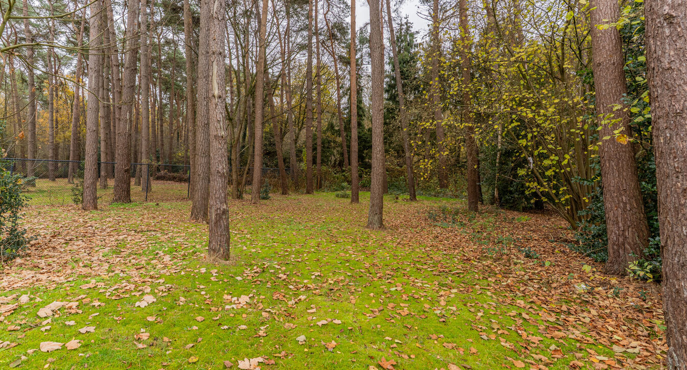 Huis te koop in Lichtaart