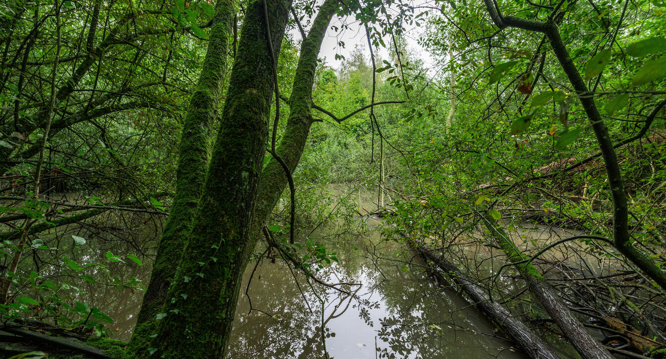 Recreatief terrein te koop in Lille