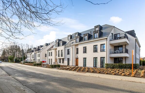 Molenspoor